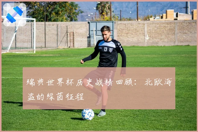瑞典世界杯历史战绩回顾:北欧海盗的绿茵征程
