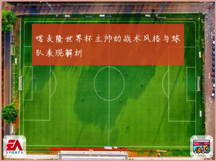 喀麦隆世界杯主帅的战术风格与球队表现解析