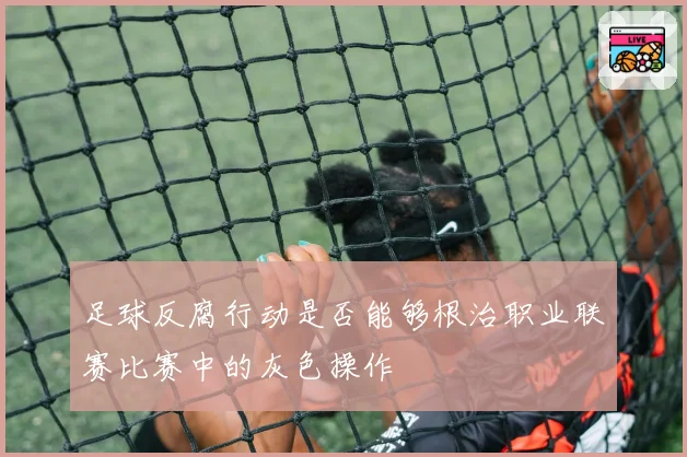 足球反腐行动是否能够根治职业联赛比赛中的灰色操作